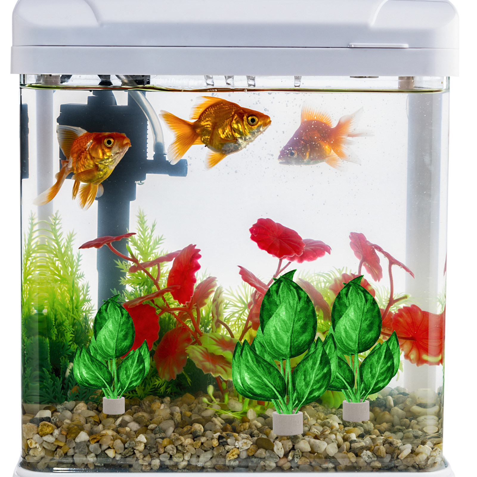 5Pcs Premium Pottery Water Pla - Planted Aquarium With Fish 리뷰 및 가격