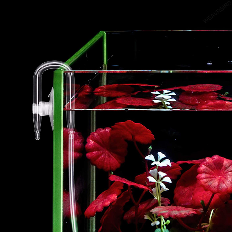 Aquarium U Shaped Air Pipe Con - Aquarium Lily Pipe 리뷰 및 가격