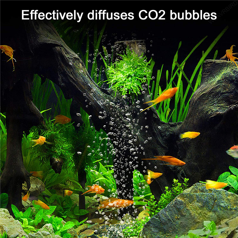 Aquarium U Shaped Air Pipe Con - Aquarium Lily Pipe 리뷰 및 가격