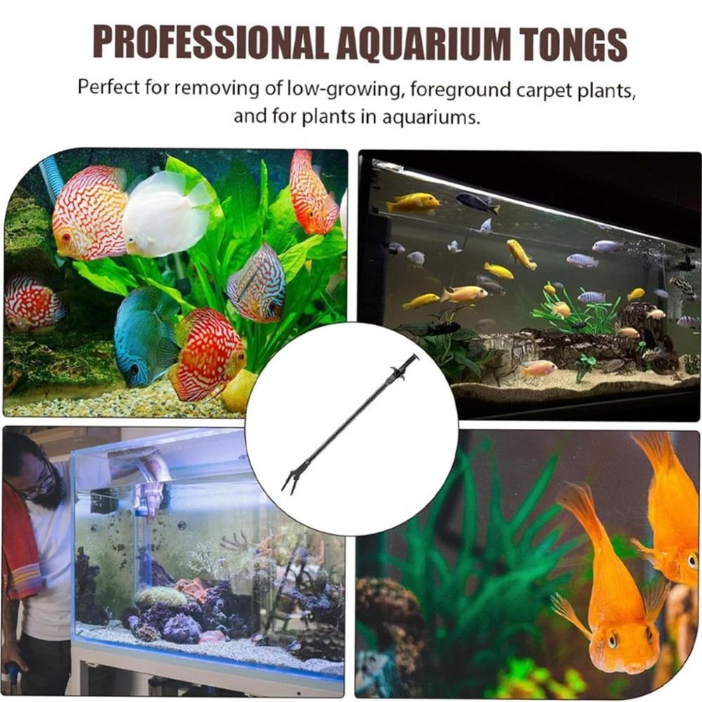 1Pcs 50cm Aquarium Plastic Twe - Non Planted Aquarium Fish 리뷰 및 가격