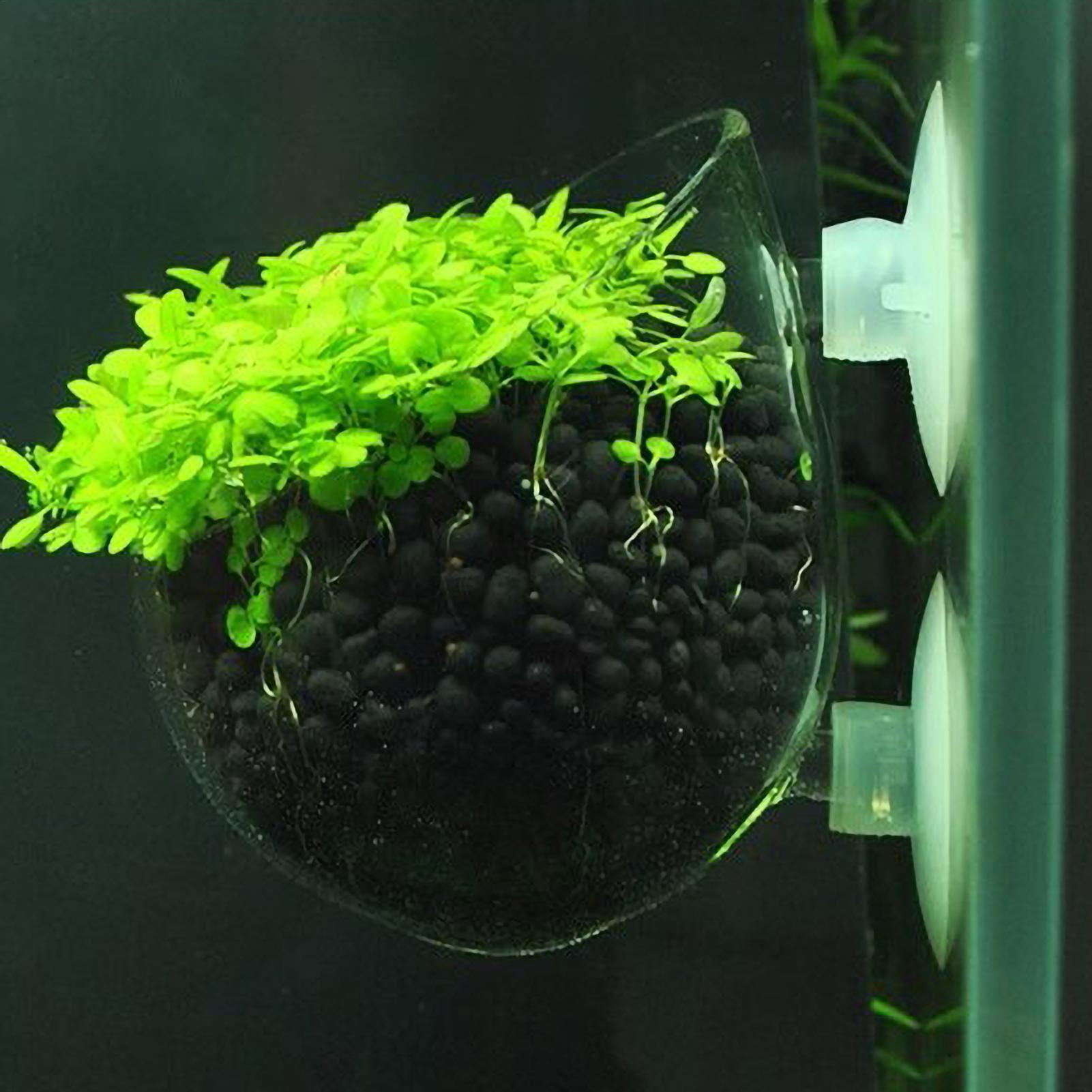 Aquarium Glass Plant Pot with  - Aquarium Planted Tank Substrate 리뷰 및 가격