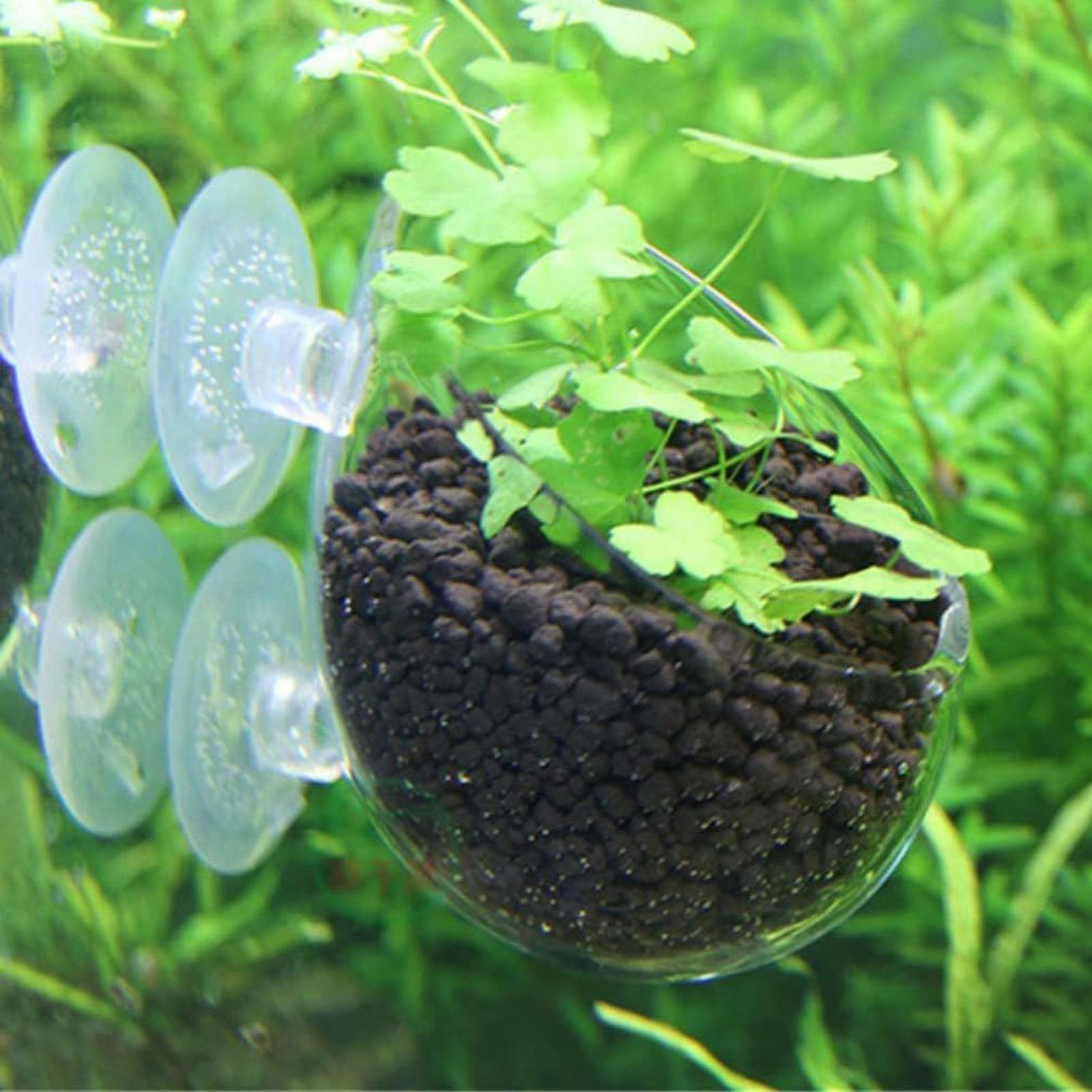 Aquarium Glass Plant Pot with  - Aquarium Planted Tank Substrate 리뷰 및 가격