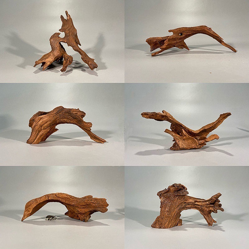 Natural Driftwood Aquarium Mos - Aquarium Planted Soil 리뷰 및 가격