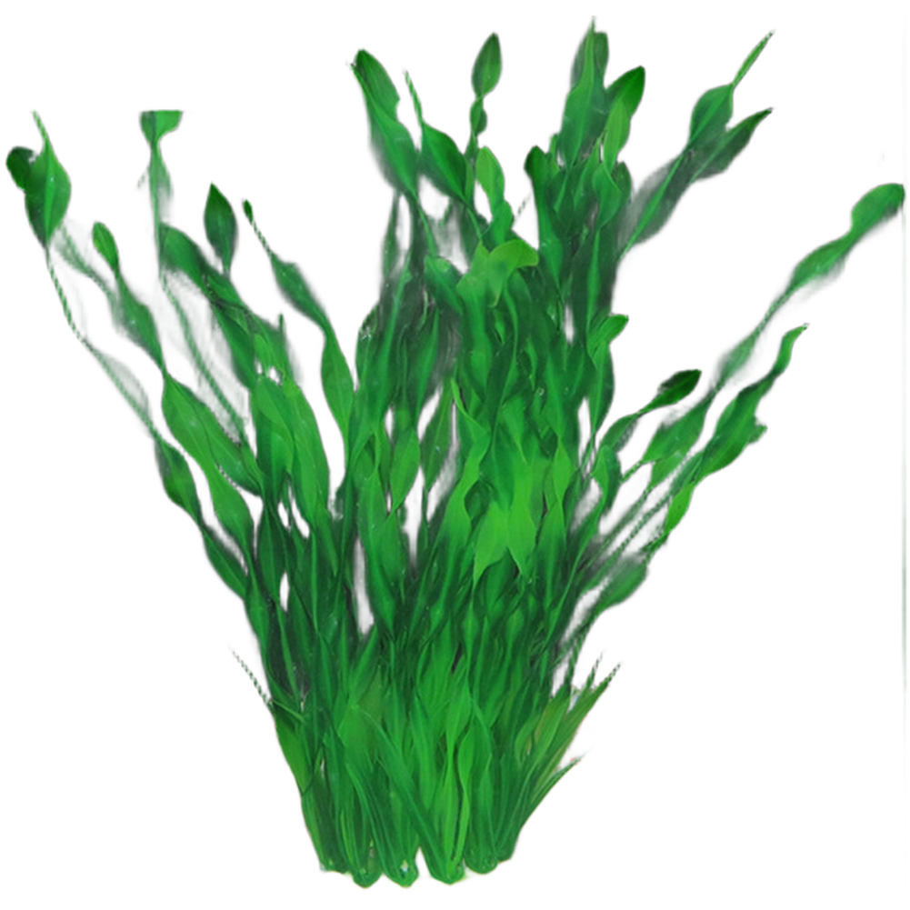 Realistic Artificial Aquarium  - Planted Aquarium With Fish 리뷰 및 가격