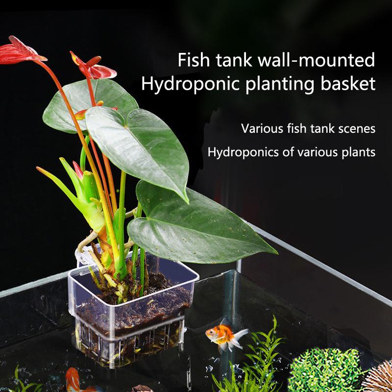 Aquarium Hydroponic Planting C - Aquarium Planted Setup 리뷰 및 가격
