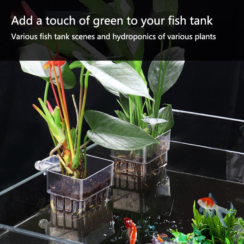 Aquarium Hydroponic Planting C - Aquarium Planted Setup 리뷰 및 가격