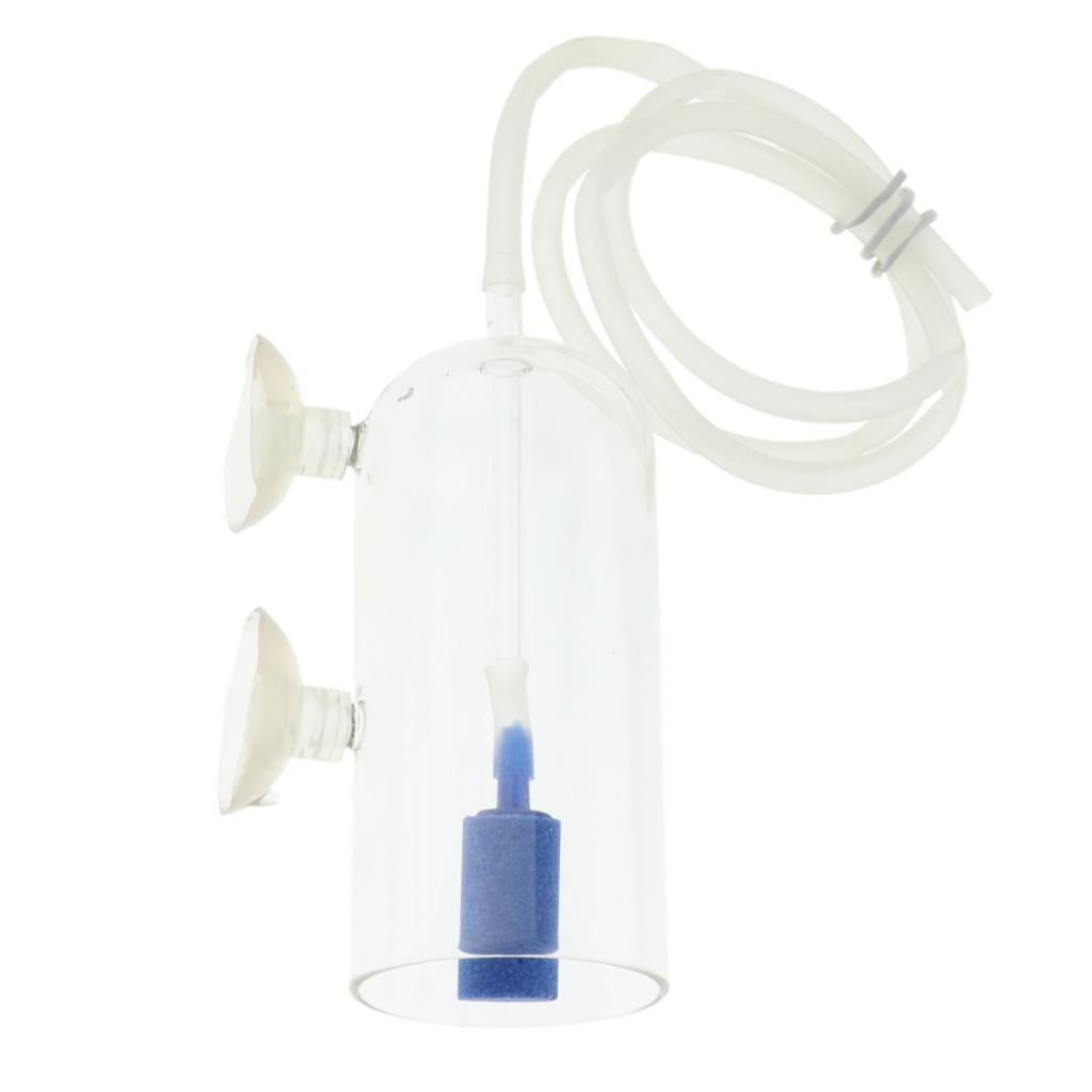 Aquarium Air Stone Glass CO2 D - Planted Aquarium Air Stone 리뷰 및 가격