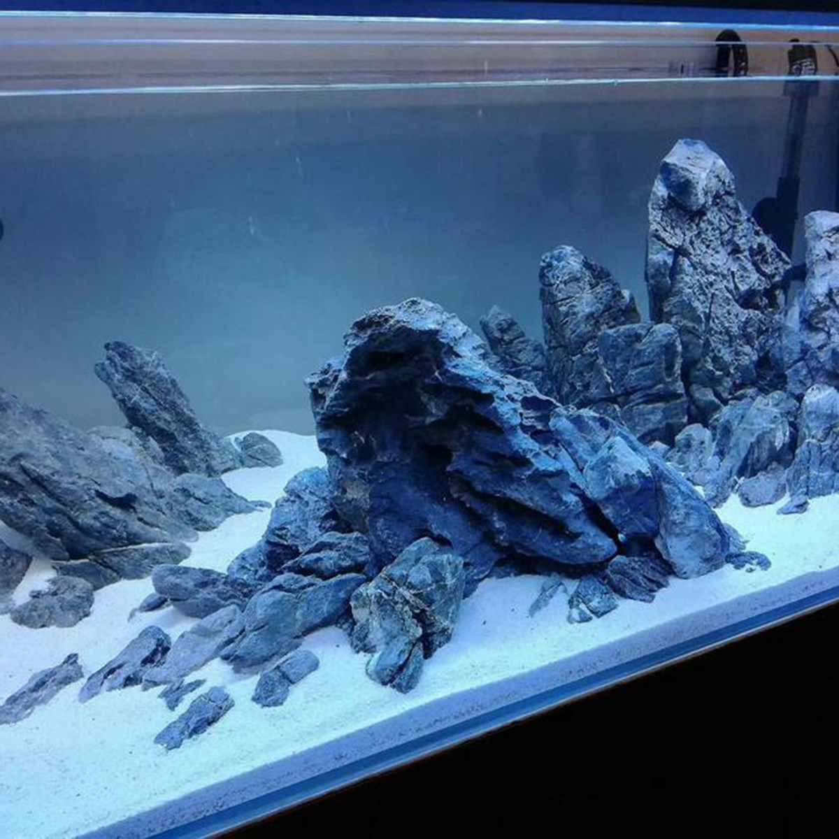 Fish Tank Quartz Sand White Be - Aquarium Sand White 리뷰 및 가격
