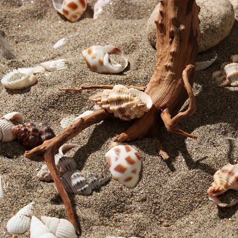 7-26CM 4 Sizes Driftwood Cucko - Aquarium Planted Soil 리뷰 및 가격
