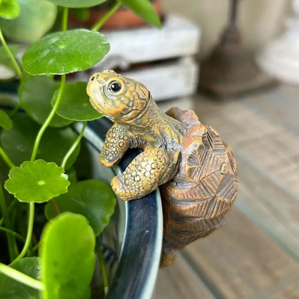 Fishing Turtle Hanging Turtle  - Planted Aquarium With Fish 리뷰 및 가격