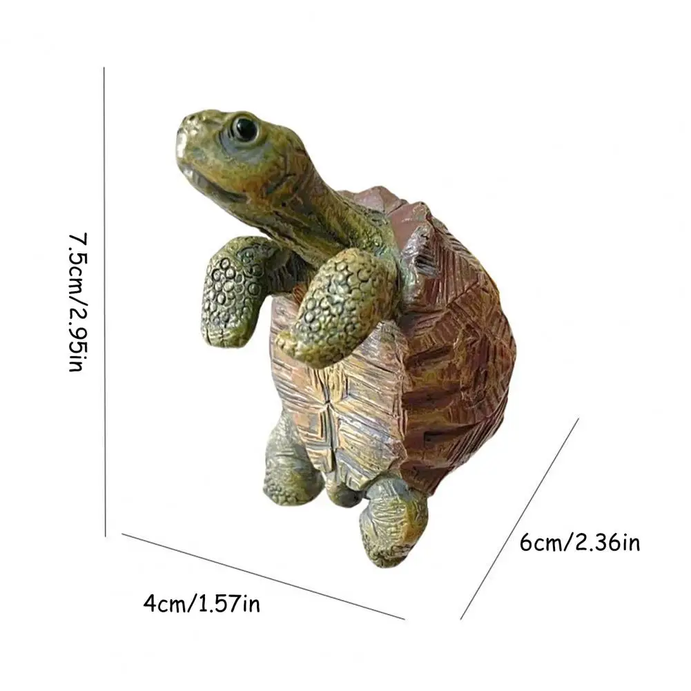 Fishing Turtle Hanging Turtle  - Planted Aquarium With Fish 리뷰 및 가격