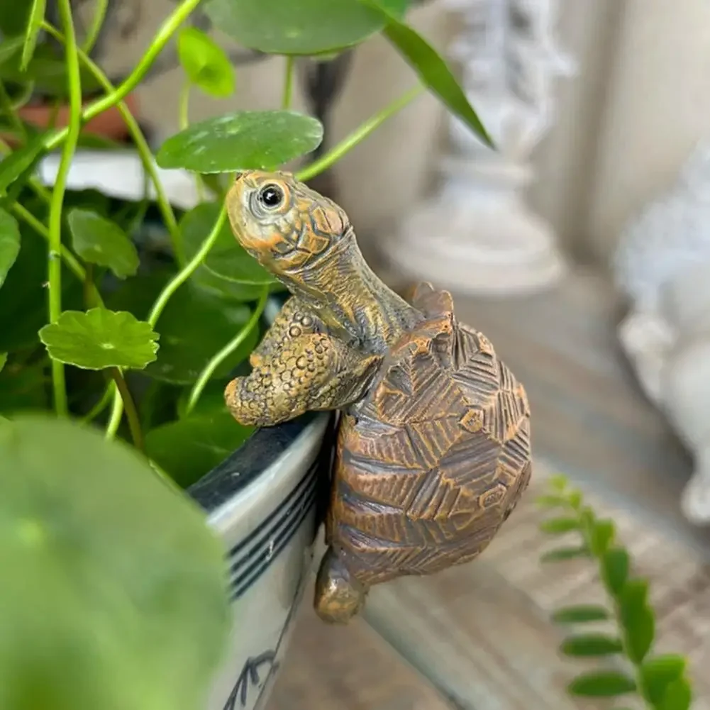 Fishing Turtle Hanging Turtle  - Planted Aquarium With Fish 리뷰 및 가격