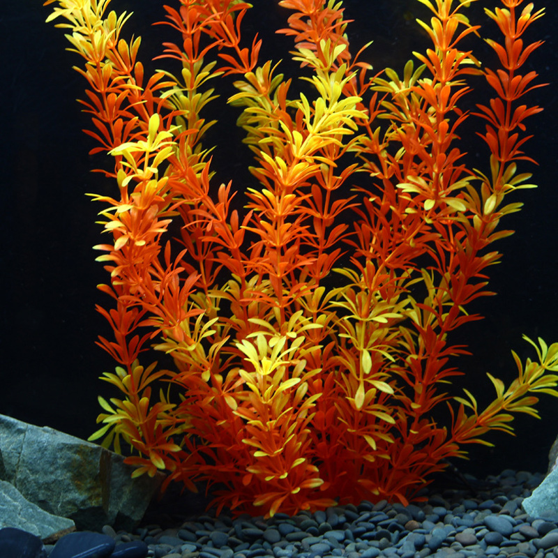 100cm Tropical Plants Large Ar - Planted Aquarium With Fish 리뷰 및 가격
