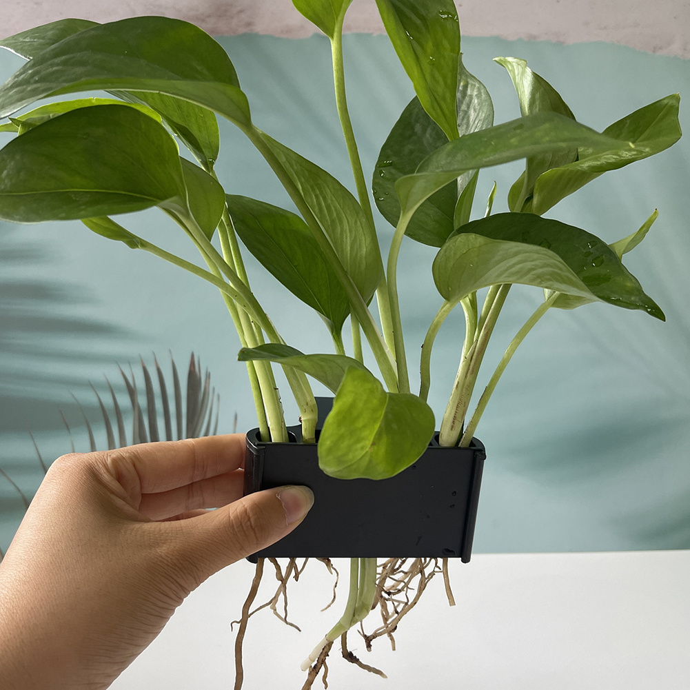 Aquarium Plant Holder with Han - Aquarium Planted Tank Substrate 리뷰 및 가격