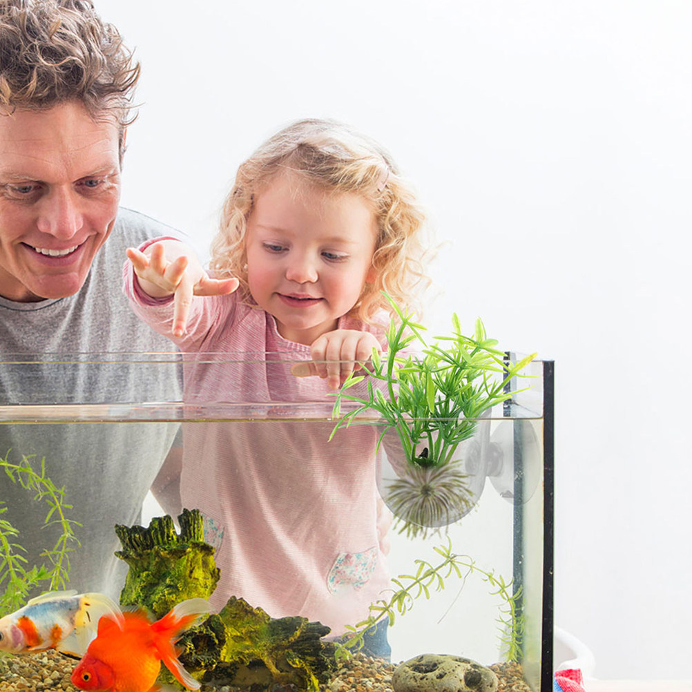 10Pcs Acrylic Aquarium Planter - Aquarium Planted Setup 리뷰 및 가격