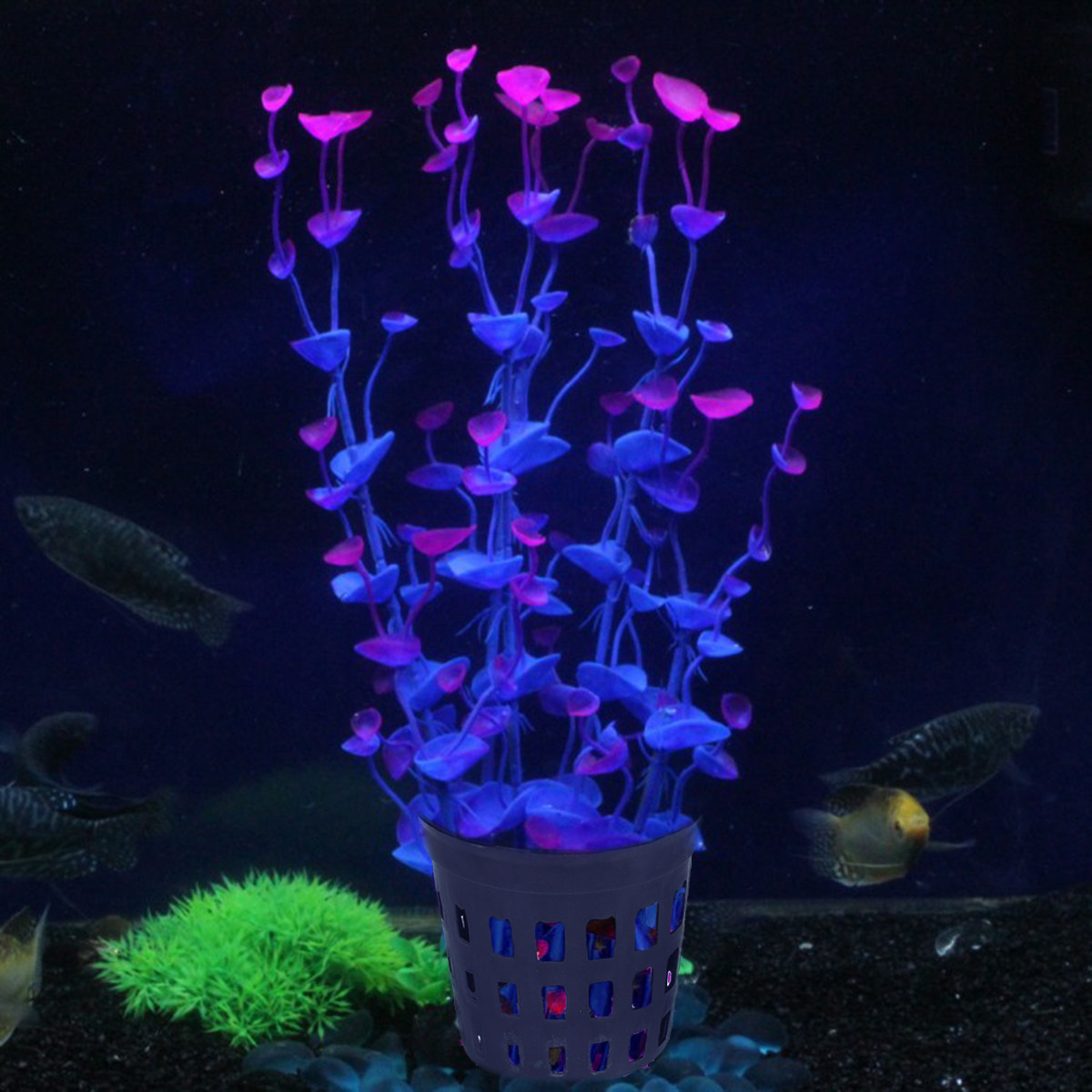 10Pcs Aquarium Plastic Water G - Aquarium Planted Soil 리뷰 및 가격