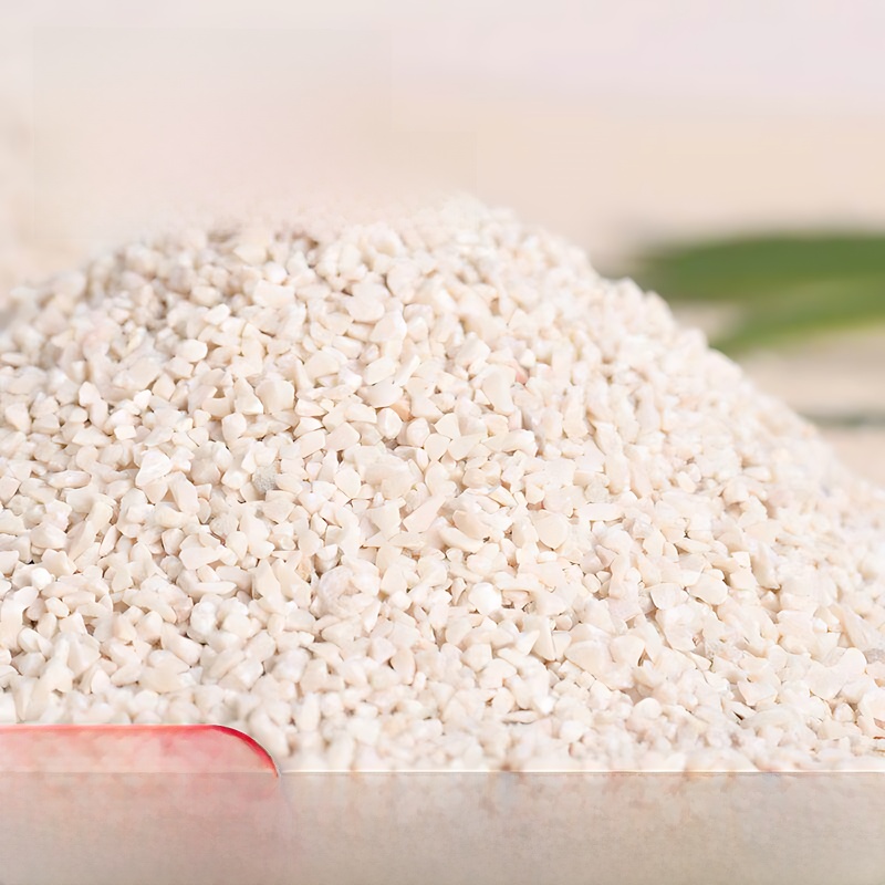 Natural White Coral Sand  Sand - Aquarium Sand White 리뷰 및 가격