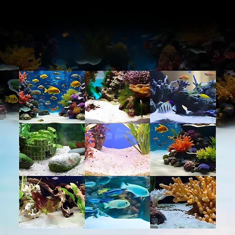 Natural White Coral Sand  Sand - Aquarium Sand White 리뷰 및 가격