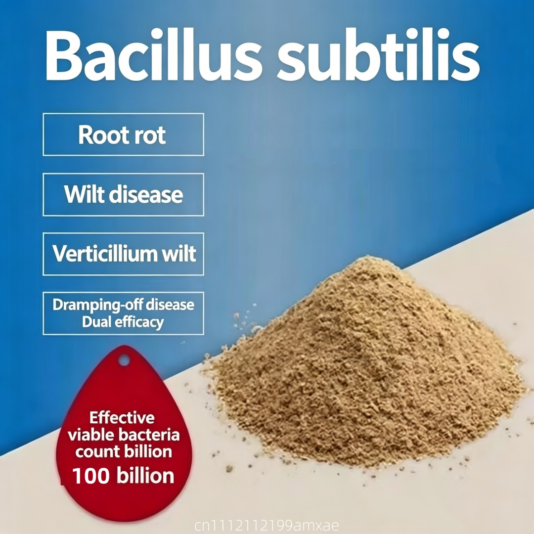 High Activity Bacillus Subtili - Aquarium Planted Soil 리뷰 및 가격