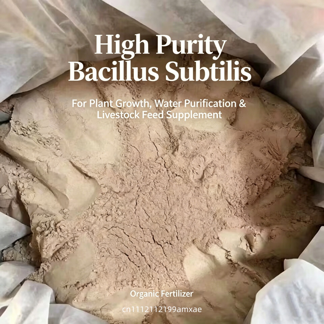 High Activity Bacillus Subtili - Aquarium Planted Soil 리뷰 및 가격