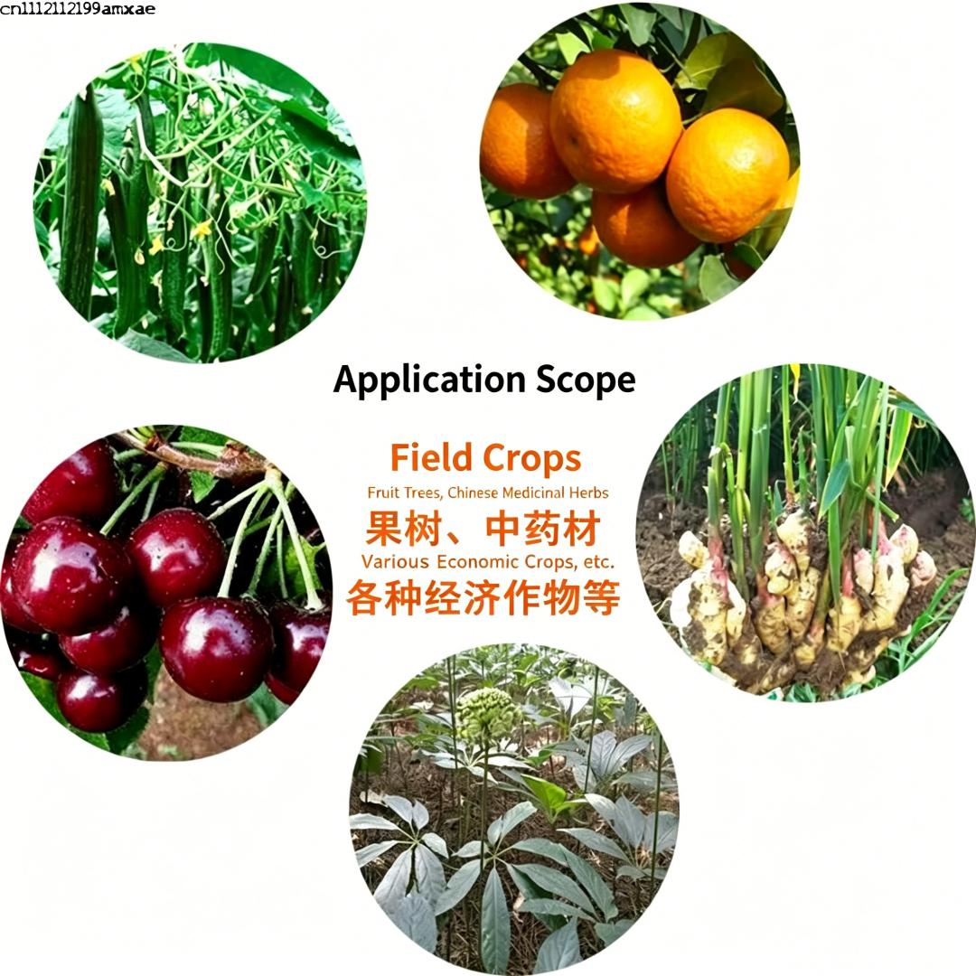 High Activity Bacillus Subtili - Aquarium Planted Soil 리뷰 및 가격