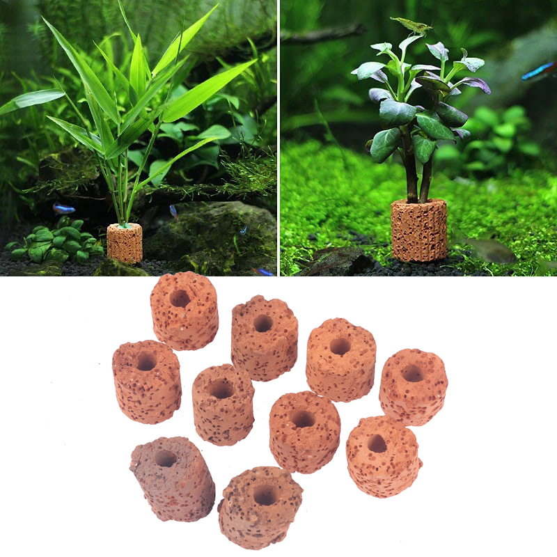 10Pcs Mini Aquatic Plant Ring  - Aquarium Planted Setup 리뷰 및 가격