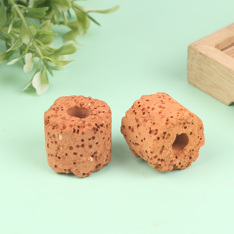 10Pcs Mini Aquatic Plant Ring  - Aquarium Planted Setup 리뷰 및 가격