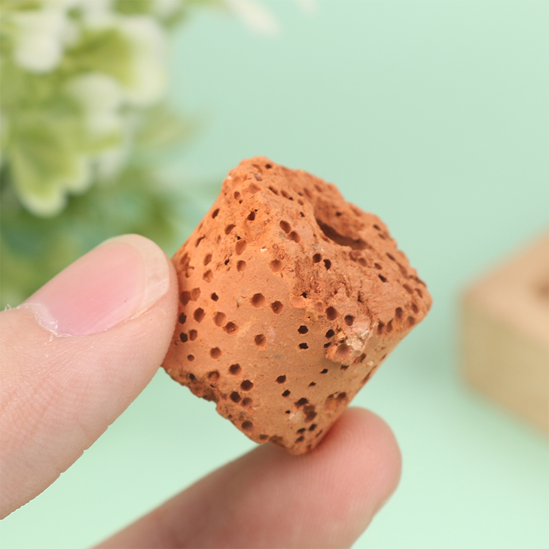 10Pcs Mini Aquatic Plant Ring  - Aquarium Planted Setup 리뷰 및 가격