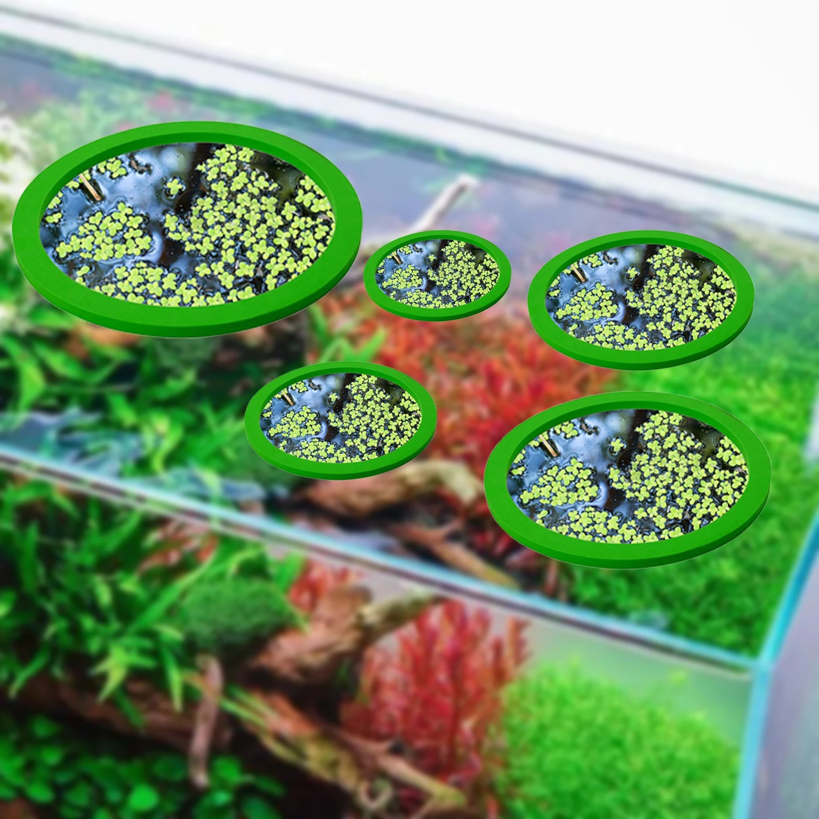 5Pcs EVA Fish Feeding Ring Aqu - Planted Aquarium With Fish 리뷰 및 가격