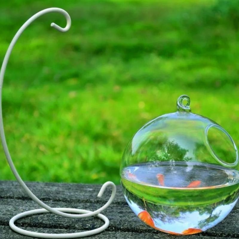 Transparent Spherical Glass Ha - Planted Aquarium With Fish 리뷰 및 가격