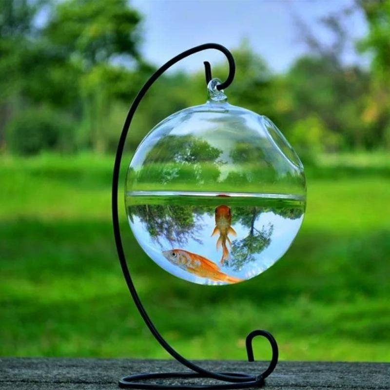 Transparent Spherical Glass Ha - Planted Aquarium With Fish 리뷰 및 가격