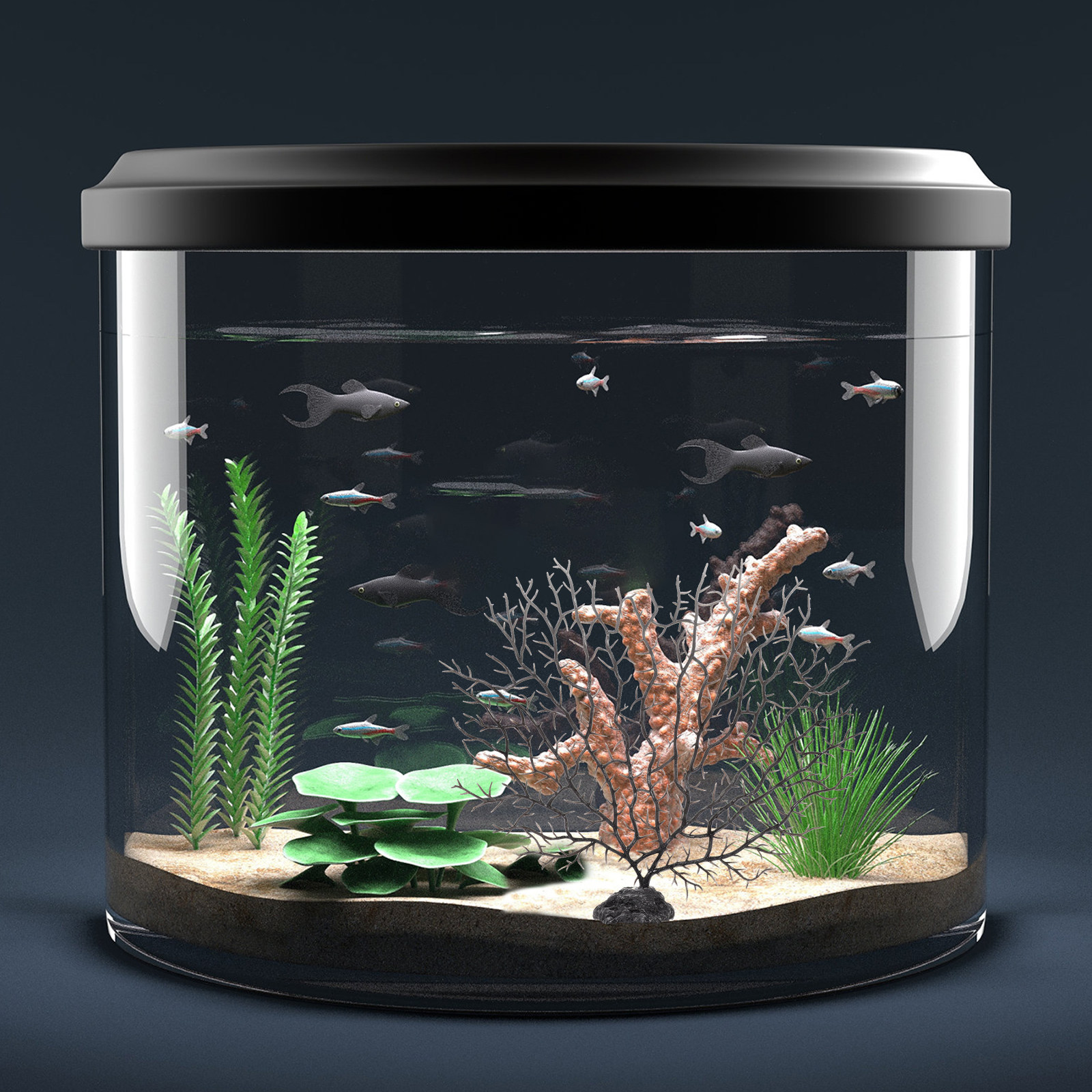 Artificial Coral Tree for Fish - Non Planted Aquarium Fish 리뷰 및 가격