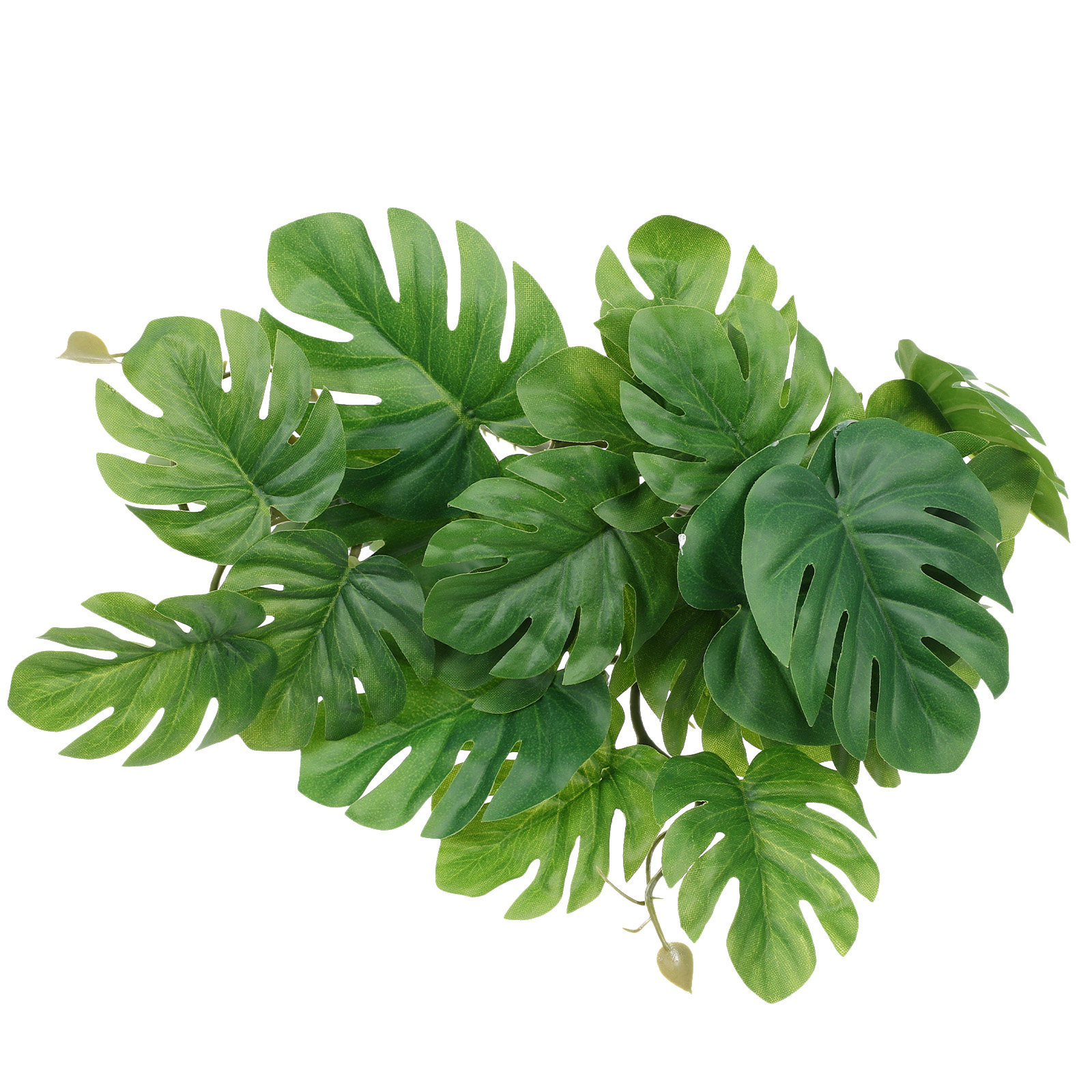 Realistic Plastic Aquarium Pla - Non Planted Aquarium Fish 리뷰 및 가격