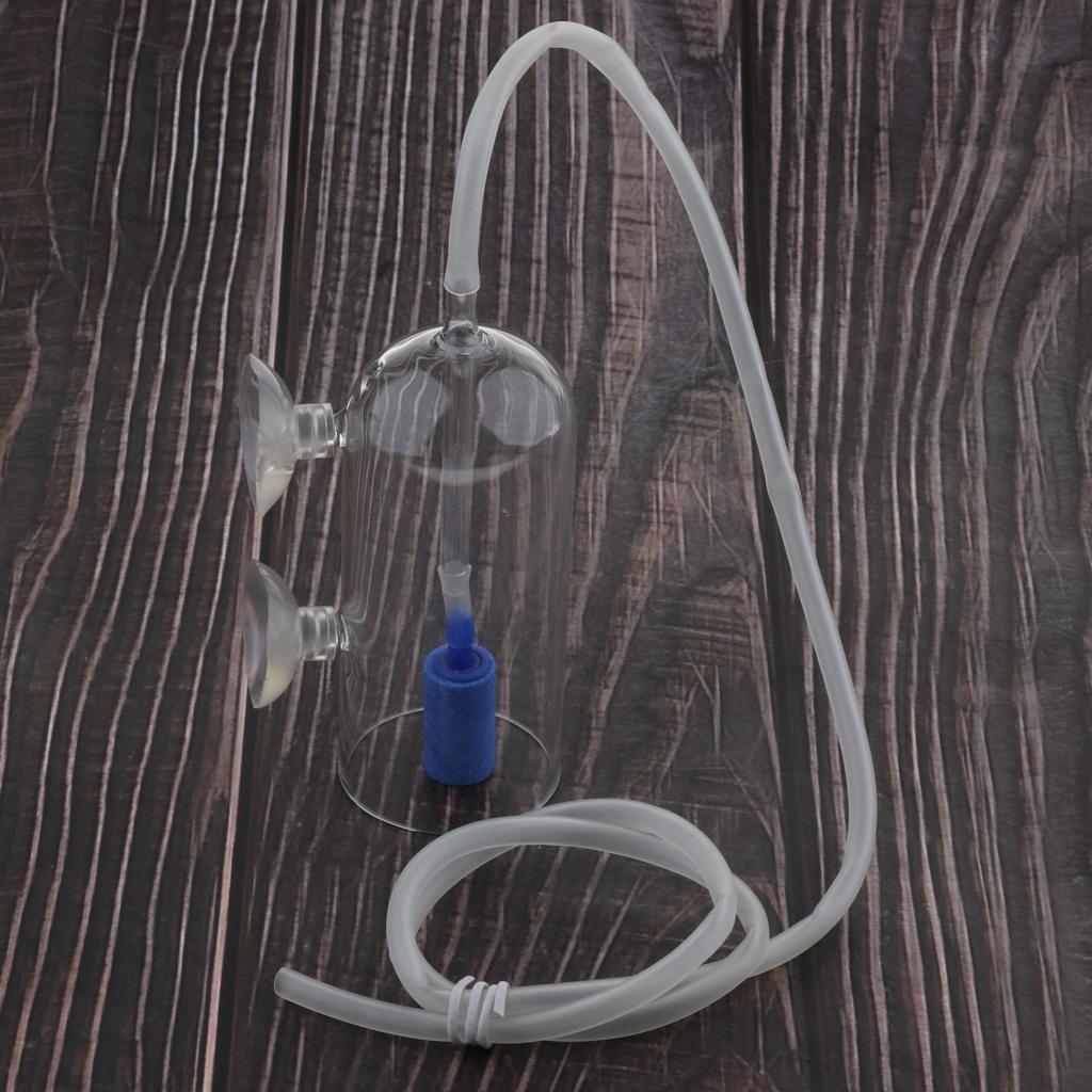CO2 Diffuser System for Aquari - Planted Aquarium Co2 System 리뷰 및 가격