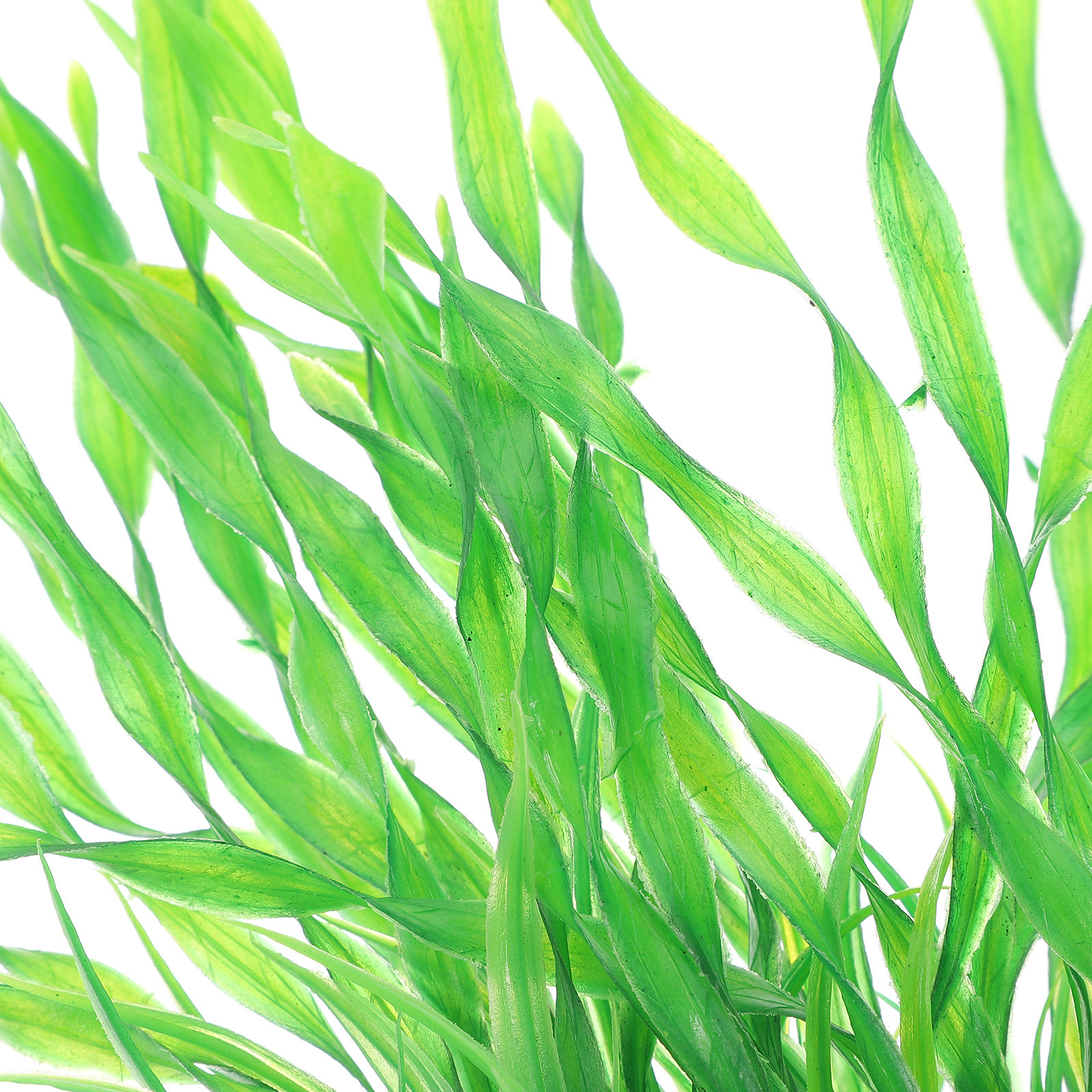 2Pcs Premium Fake Aquatic Plan - Non Planted Aquarium Fish 리뷰 및 가격