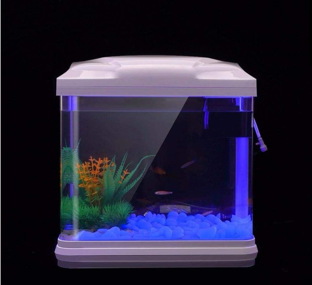 Fish Tank Rocks Glow Blue Pebb - Planted Aquarium With Fish 리뷰 및 가격