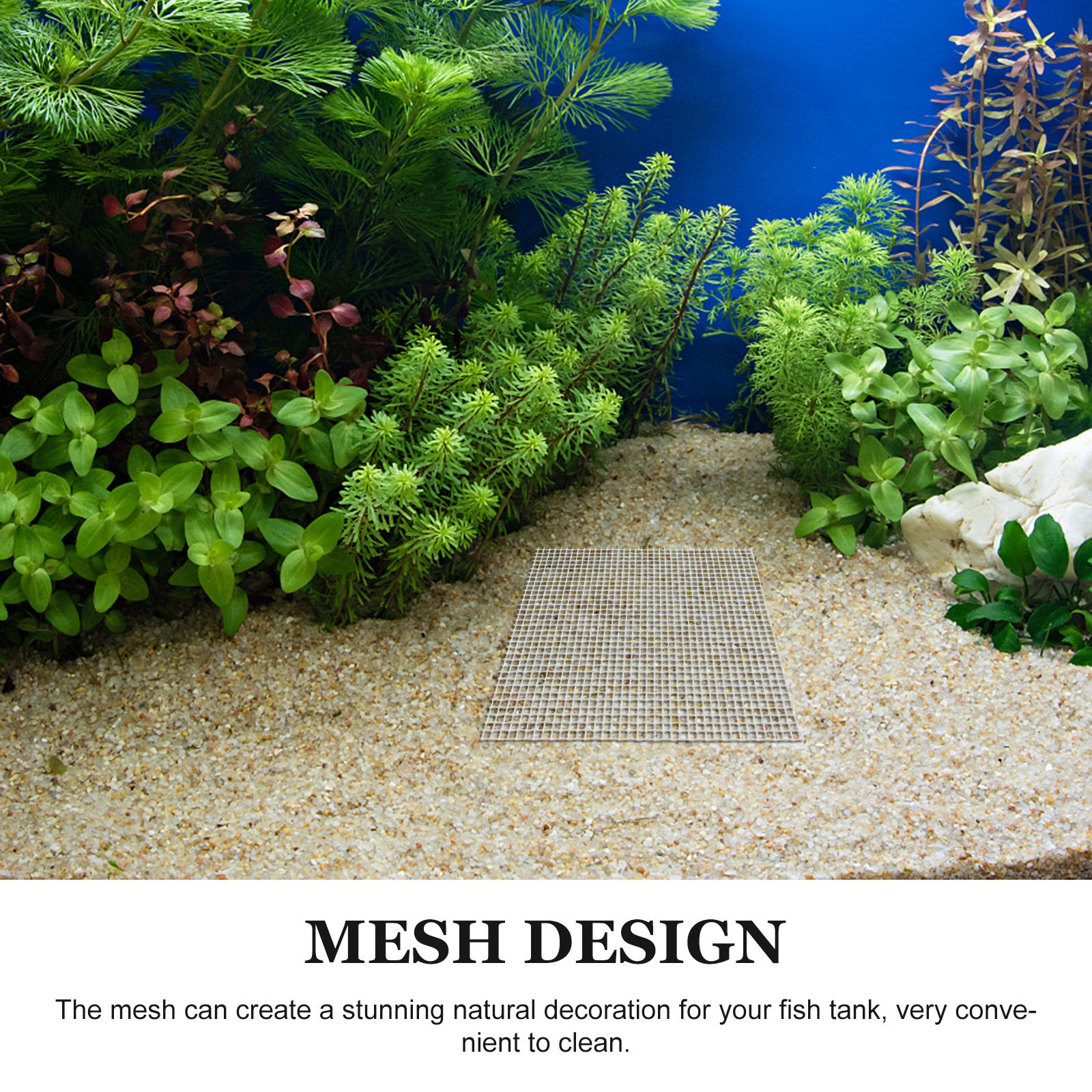 12Pcs Stainless Steel Moss Net - Aquarium Planted Setup 리뷰 및 가격