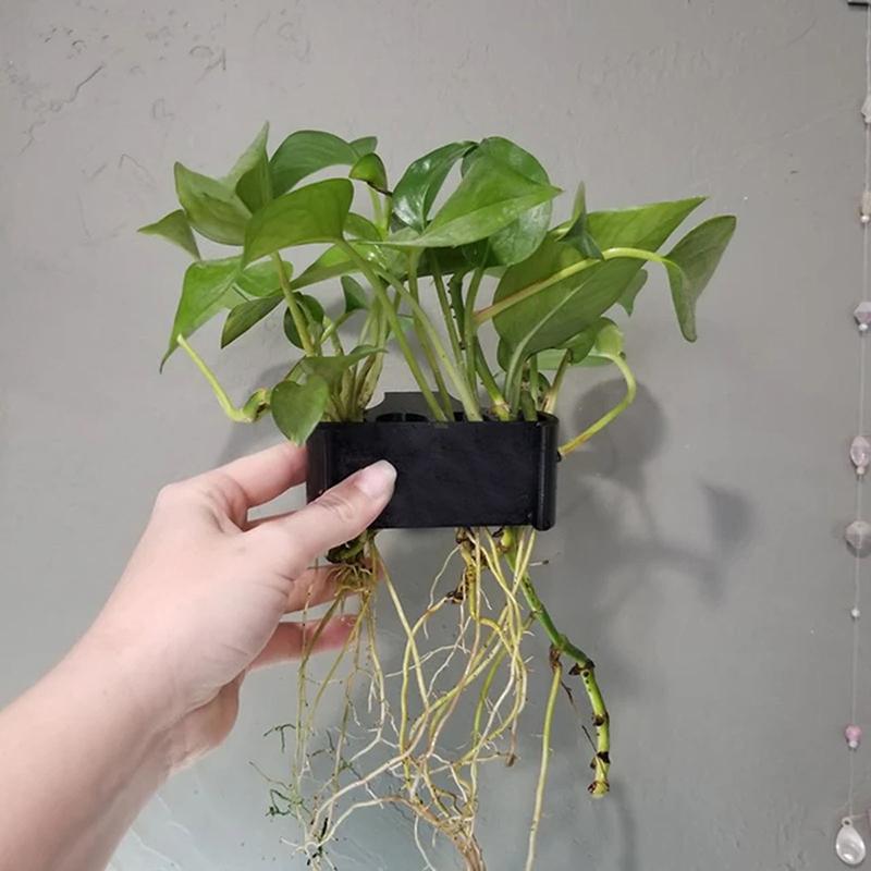 1 2 3Pcs Aquarium Plant Suppor - Aquarium Planted Setup 리뷰 및 가격