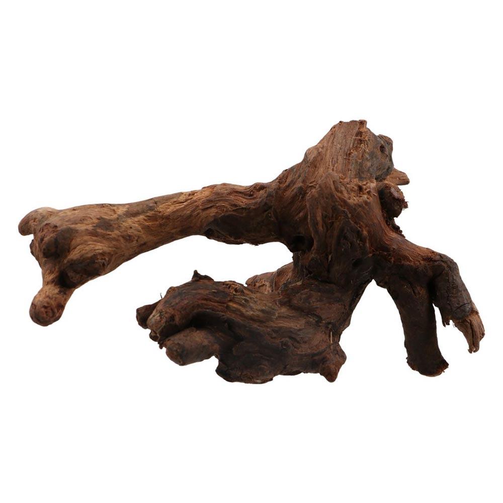 Creative Irregular Shape Coral - Aquarium Planted Soil 리뷰 및 가격