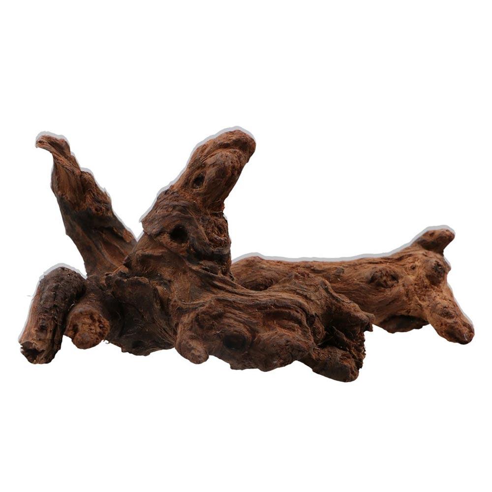 Creative Irregular Shape Coral - Aquarium Planted Soil 리뷰 및 가격