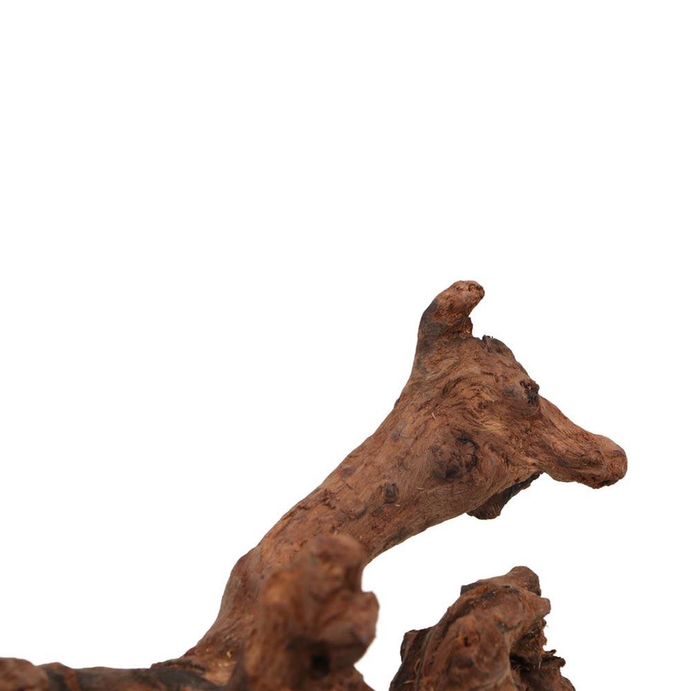 Creative Irregular Shape Coral - Aquarium Planted Soil 리뷰 및 가격
