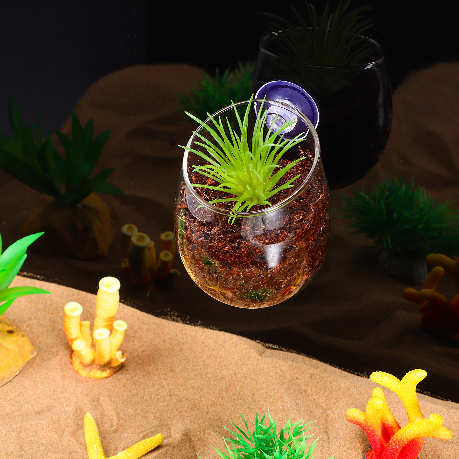 2Pcs Fish Tank Plant Holder Gl - Aquarium Planted Setup 리뷰 및 가격