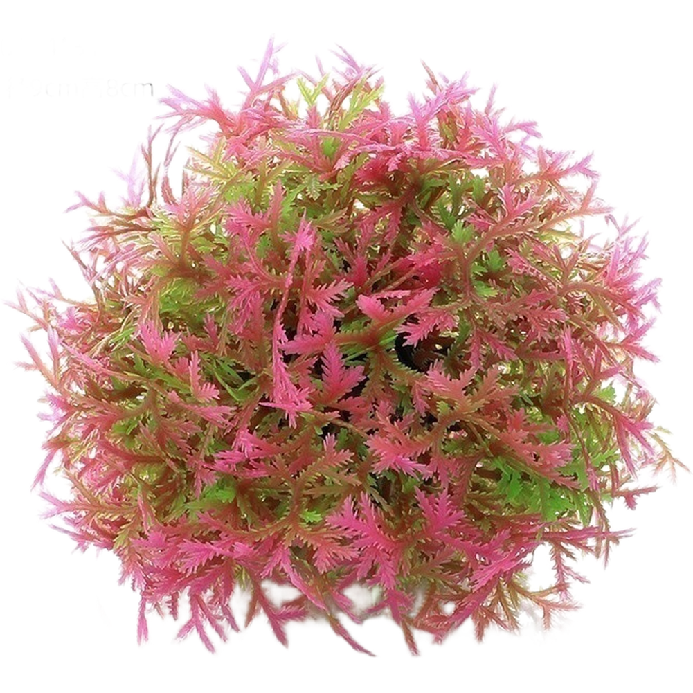PE Aquarium Decor Artificial P - Planted Aquarium With Fish 리뷰 및 가격