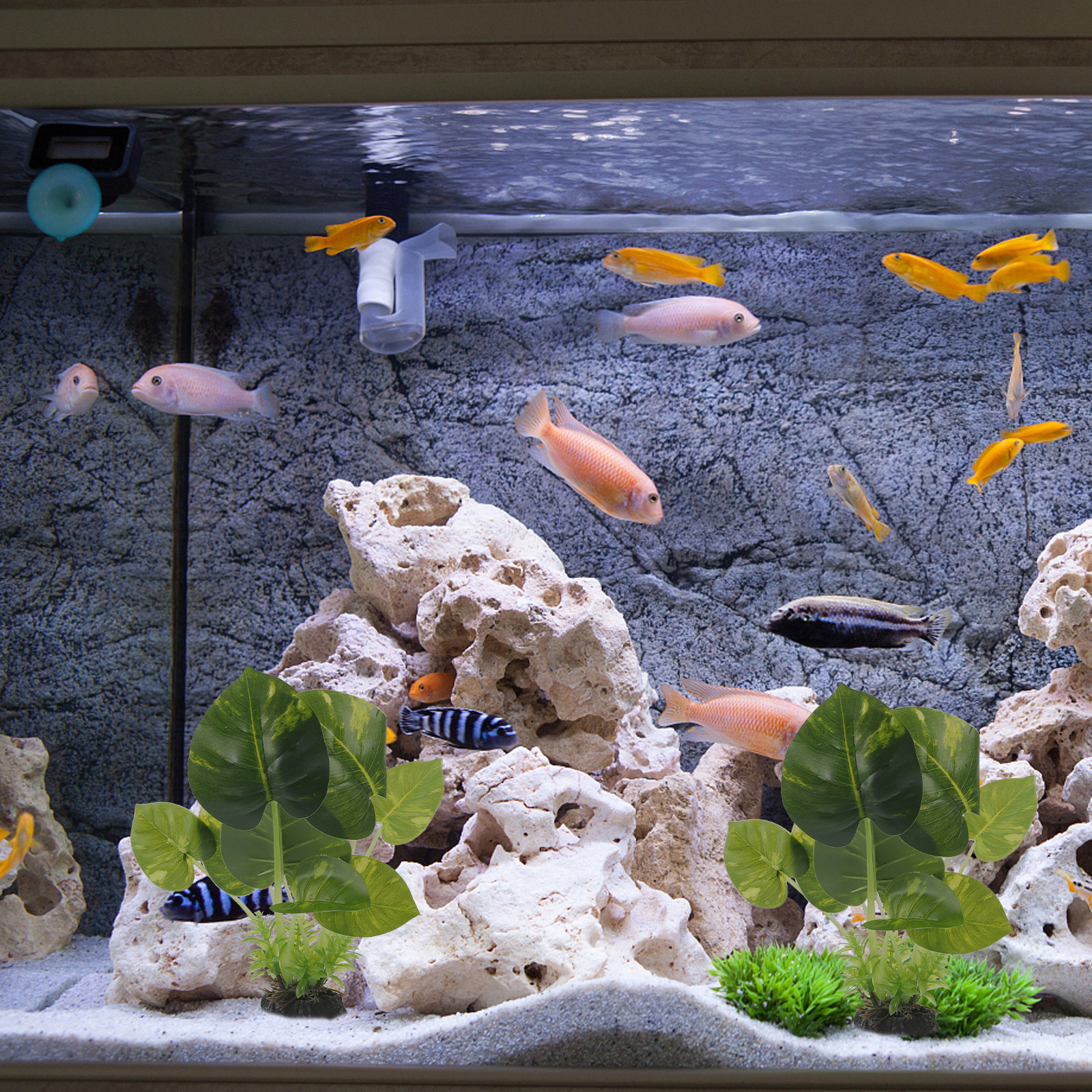 Highly Realistic Artificial Aq - Non Planted Aquarium Fish 리뷰 및 가격