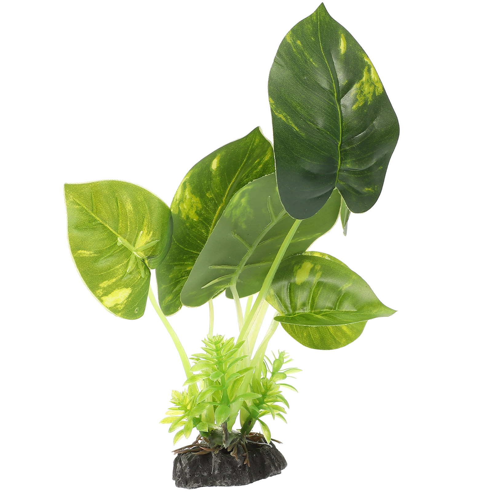 Highly Realistic Artificial Aq - Non Planted Aquarium Fish 리뷰 및 가격