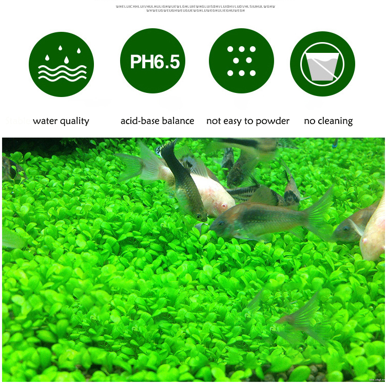 Aquarium Plant Seeds Soil Fish - Aquarium Planted Soil 리뷰 및 가격