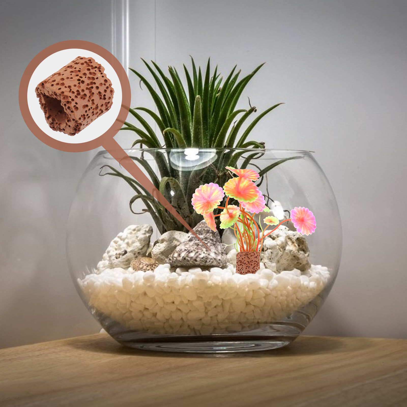 10Pcs Water Plant Fixed Ring S - Planted Aquarium With Fish 리뷰 및 가격