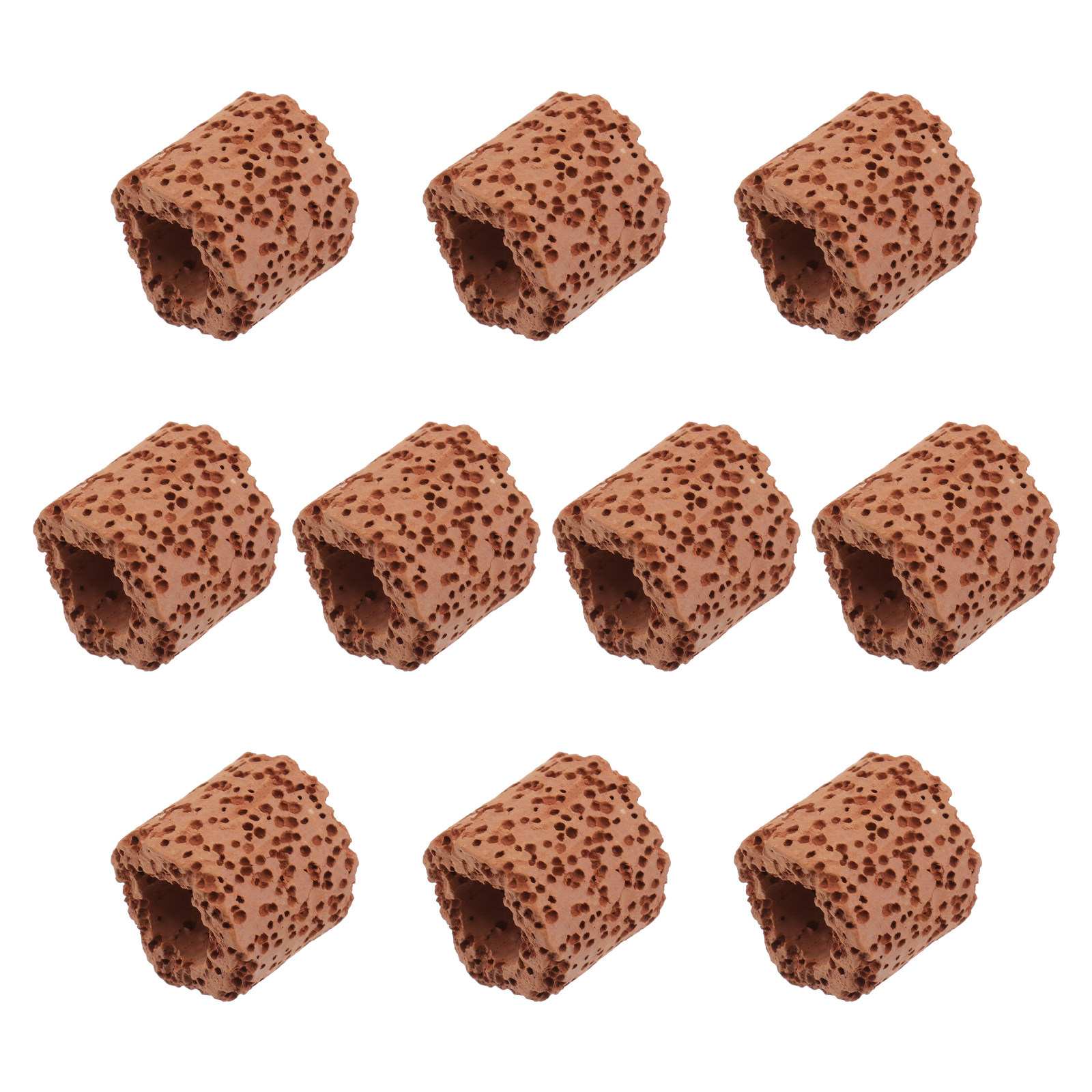 10Pcs Water Plant Fixed Ring S - Planted Aquarium With Fish 리뷰 및 가격