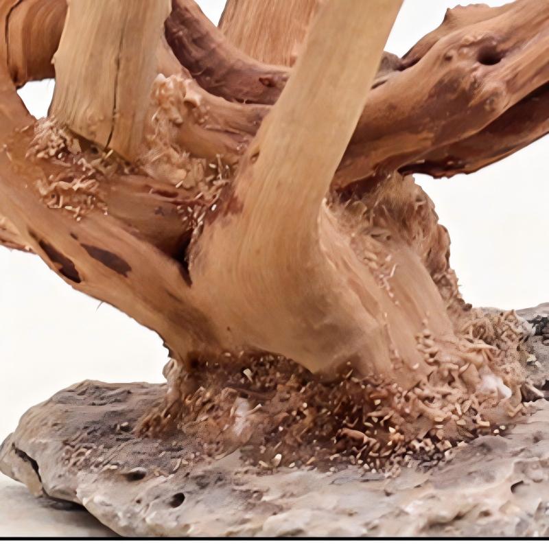 1PC Aquarium Landscaping Wood  - Aquarium Planted Soil 리뷰 및 가격