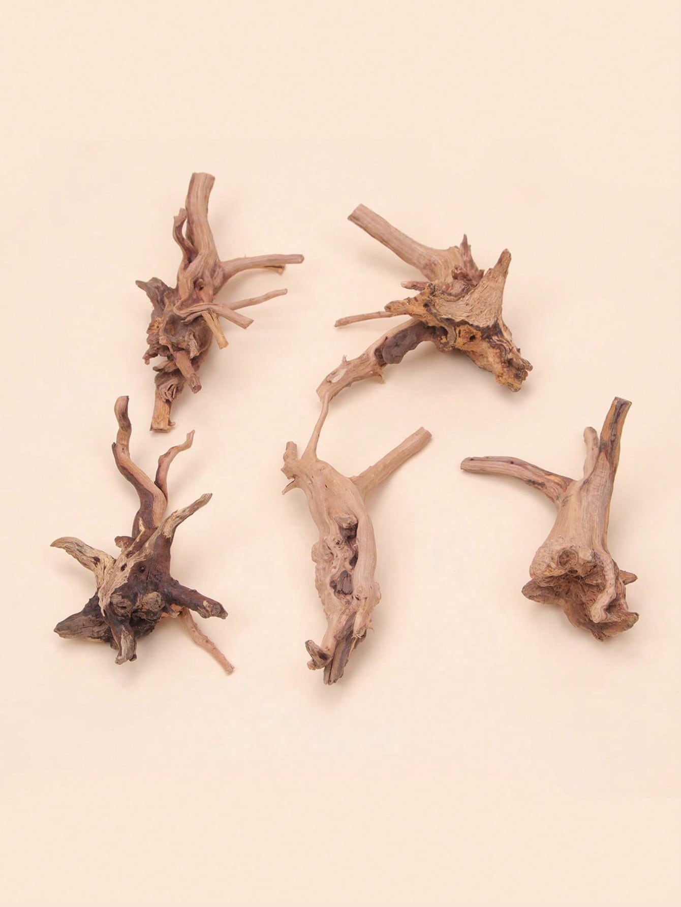 Tree Trunk Micro Landscape Rep - Aquarium Planted Soil 리뷰 및 가격